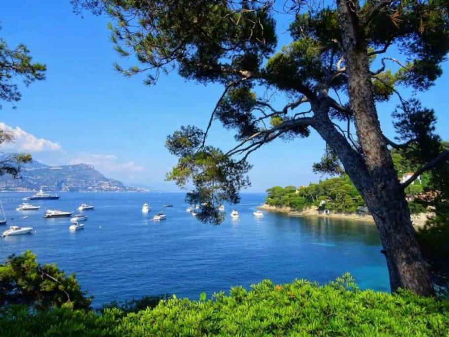 2P Neuf Au Coeur De St Jean Cap Ferrat Lägenhet Saint-Jean-Cap-Ferrat Exteriör bild